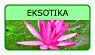 Eksotiskais VIP ceļojums